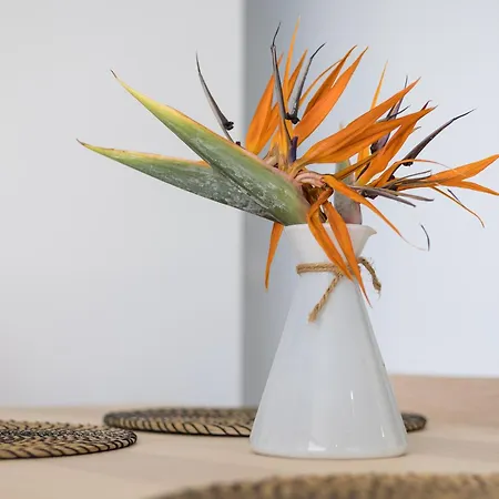 Barca Sky Views Apartmán Lajita