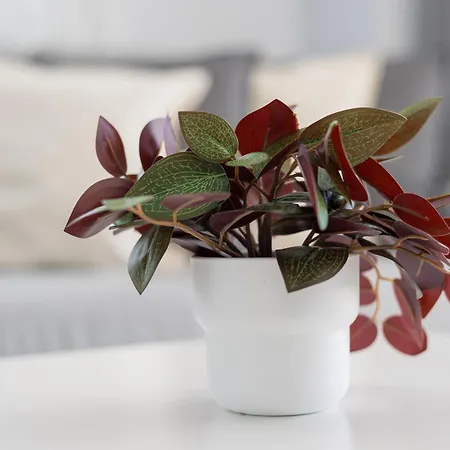 Barca Sky Views Apartmán Lajita