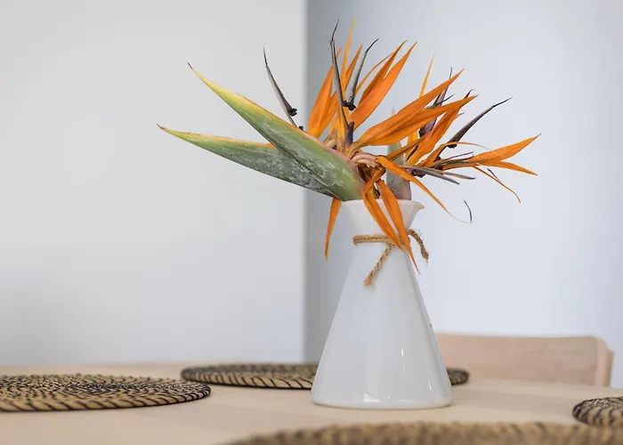 Barca Sky Views דירה Lajita