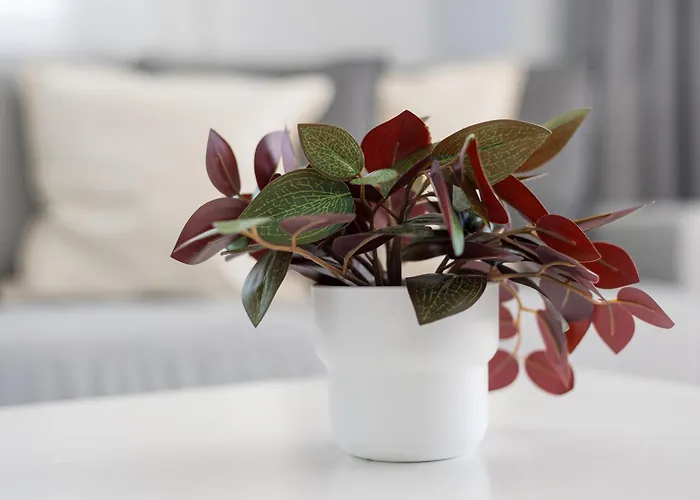 Barca Sky Views דירה Lajita